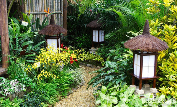 綠色植物設計庭院 綠色植物設計庭院